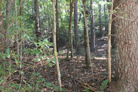 Lot 546 North Satsuma Court Ellijay GA 30540