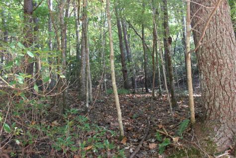 Lot 546 North Satsuma Court Ellijay GA 30540