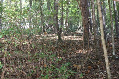 Lot 546 North Satsuma Court Ellijay GA 30540
