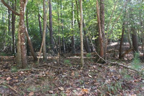 Lot 546 North Satsuma Court Ellijay GA 30540