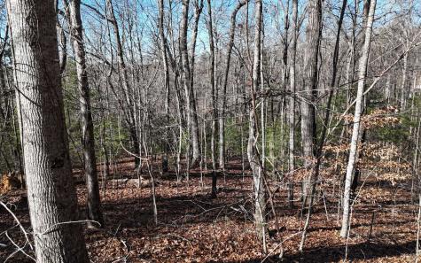 LOT37 Mountain Valley Lane Blairsville GA 30512