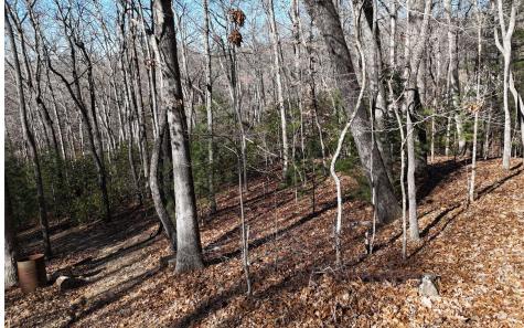 LOT37 Mountain Valley Lane Blairsville GA 30512
