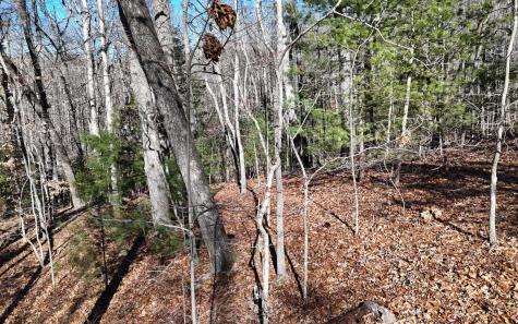 LOT37 Mountain Valley Lane Blairsville GA 30512