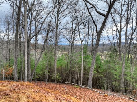 0 Sugar Creek Road Blue Ridge GA 30513