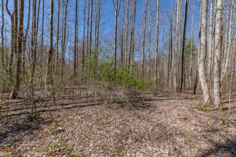 Lots 12+ Tusquittee Crossing Hayesville NC 28904