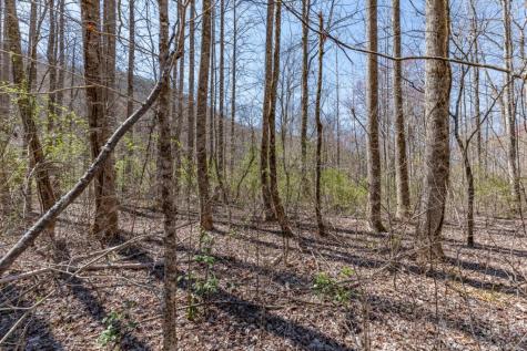 Lots 12+ Tusquittee Crossing Hayesville NC 28904