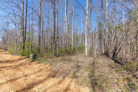 Lots 12+ Tusquittee Crossing Hayesville NC 28904