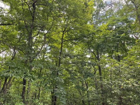 Lot 57 Asheland Overlook Young Harris GA 30582