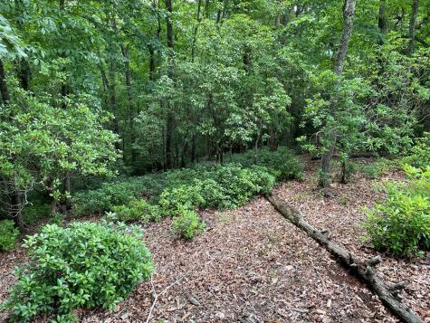 Lot 57 Asheland Overlook Young Harris GA 30582