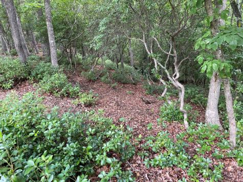 Lot 57 Asheland Overlook Young Harris GA 30582