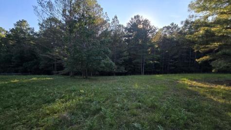 Lot 65 Brook Green Court Blairsville GA 30512