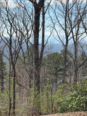 7.26 Ac Panorama Drive Murphy NC 28906