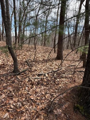 7.26 Ac Panorama Drive Murphy NC 28906
