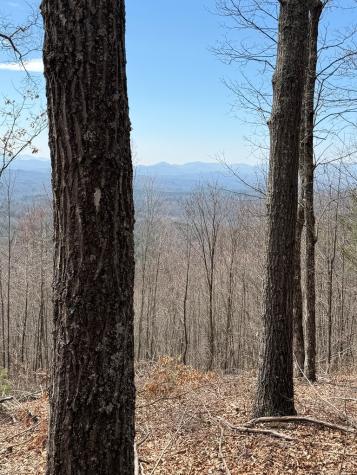 7.26 Ac Panorama Drive Murphy NC 28906