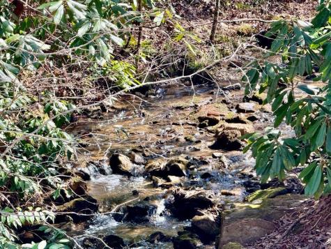 Lot 5 Wild Laurel Brasstown NC 28902