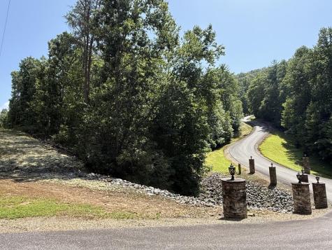 Lot 5 Wild Laurel Brasstown NC 28902