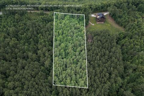 Lot 82 Thirteen Hundred Blairsville GA 30512