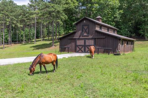 Lot 82 Thirteen Hundred Blairsville GA 30512