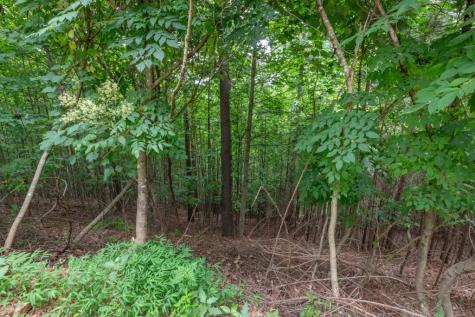 Lot 82 Thirteen Hundred Blairsville GA 30512