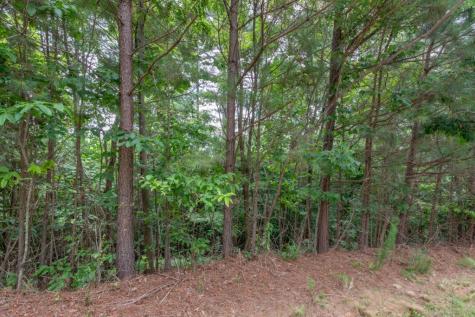Lot 82 Thirteen Hundred Blairsville GA 30512