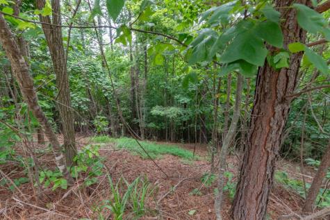 Lot 82 Thirteen Hundred Blairsville GA 30512
