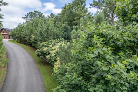 Lot 82 Thirteen Hundred Blairsville GA 30512