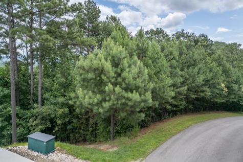 Lot 82 Thirteen Hundred Blairsville GA 30512