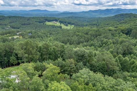 Lot 82 Thirteen Hundred Blairsville GA 30512