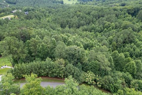 Lot 82 Thirteen Hundred Blairsville GA 30512