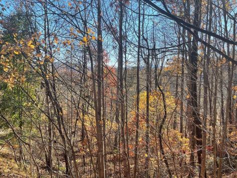 Lot 41c Ash Branch Circle Hayesville NC 28904