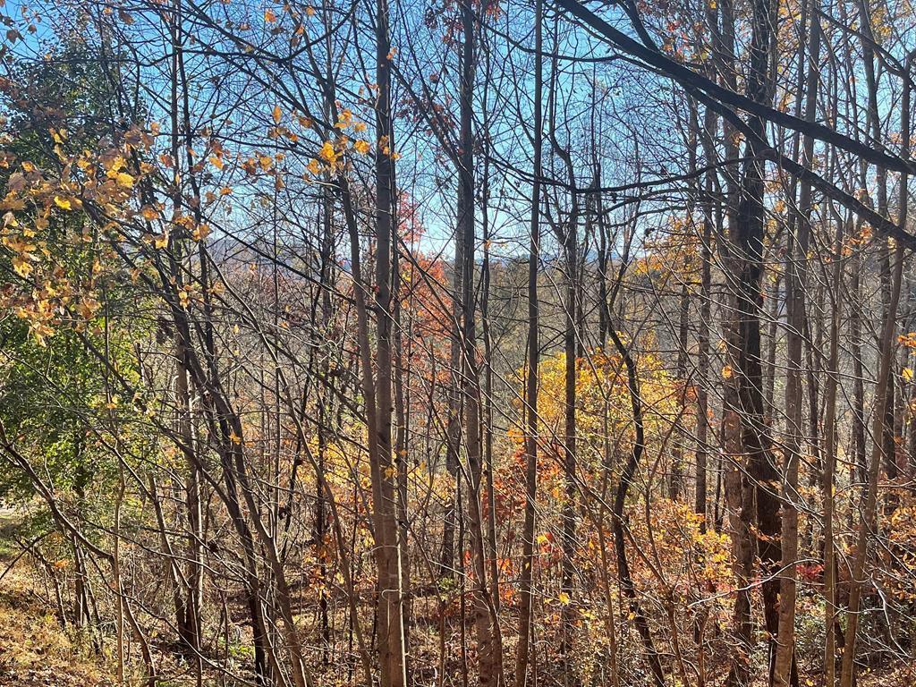 Lot 41c Ash Branch Circle Hayesville NC 28904