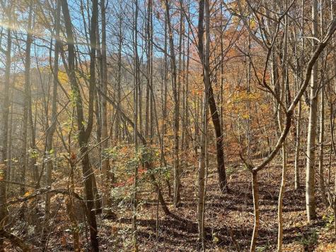 Lot 41c Ash Branch Circle Hayesville NC 28904