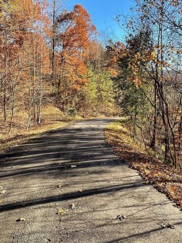 Lot 41c Ash Branch Circle Hayesville NC 28904