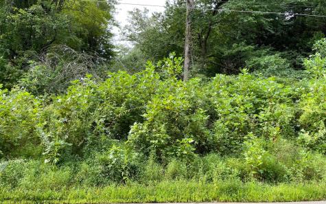 Lot 27 Sneaking Creek Drive Hayesville NC 28904