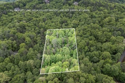 Lot 17 Lower Gap Road Sautee Nacoochee GA 30571