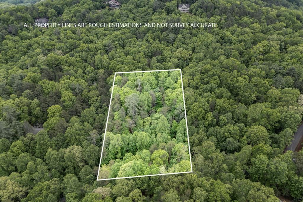 Lot 17 Lower Gap Road Sautee Nacoochee GA 30571