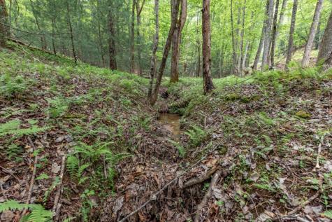 Lot 17 Lower Gap Road Sautee Nacoochee GA 30571