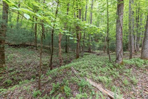 Lot 17 Lower Gap Road Sautee Nacoochee GA 30571