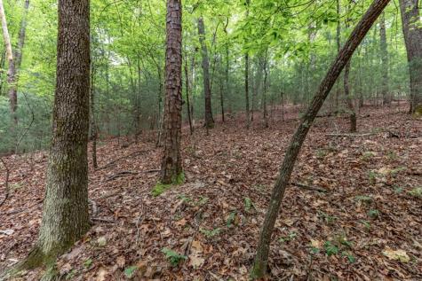Lot 17 Lower Gap Road Sautee Nacoochee GA 30571