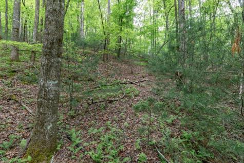 Lot 17 Lower Gap Road Sautee Nacoochee GA 30571