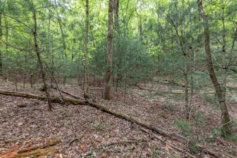 Lot 17 Lower Gap Road Sautee Nacoochee GA 30571