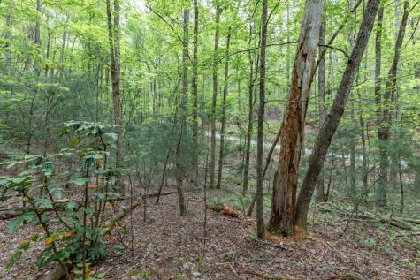 Lot 17 Lower Gap Road Sautee Nacoochee GA 30571