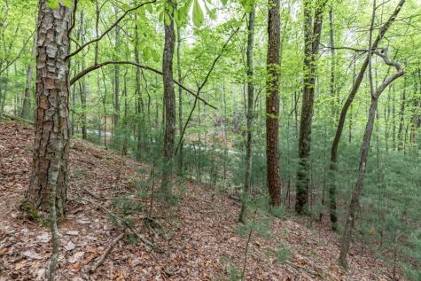 Lot 17 Lower Gap Road Sautee Nacoochee GA 30571