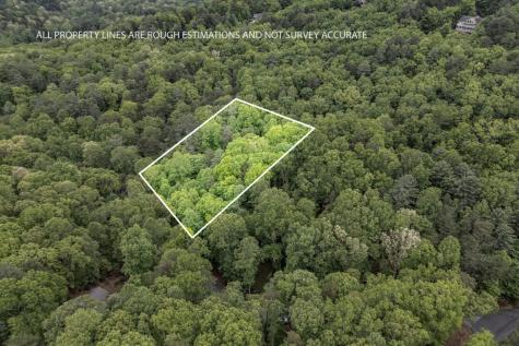 Lot 17 Lower Gap Road Sautee Nacoochee GA 30571