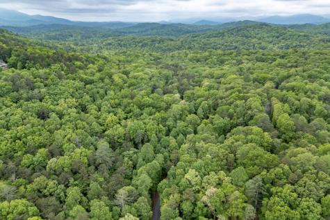 Lot 17 Lower Gap Road Sautee Nacoochee GA 30571