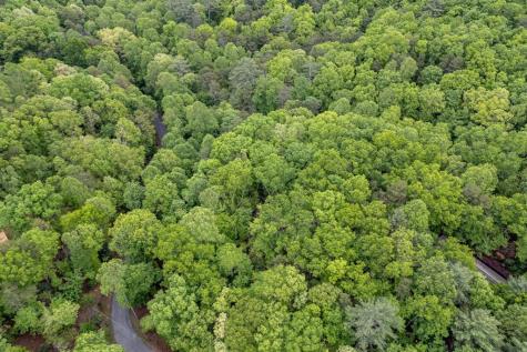 Lot 17 Lower Gap Road Sautee Nacoochee GA 30571
