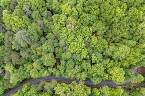 Lot 17 Lower Gap Road Sautee Nacoochee GA 30571