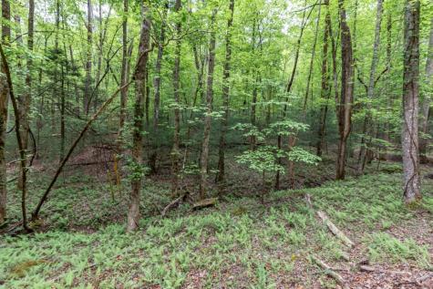 Lot 17 Lower Gap Road Sautee Nacoochee GA 30571