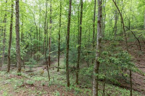 Lot 17 Lower Gap Road Sautee Nacoochee GA 30571