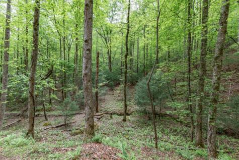Lot 17 Lower Gap Road Sautee Nacoochee GA 30571